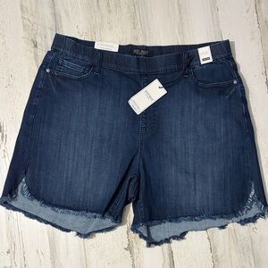Judy Blue Dark Blue High Rise Jean Shorts Size 3X NWT